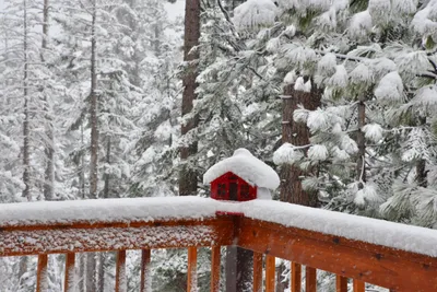 DSC_6654 (Large).JPG